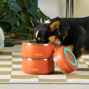A small dog eating out of a stack of Owala Pet Bowls